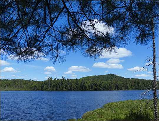 Adirondack Habitats:  Barnum Pond at the Paul Smiths VIC (15 June 2013)
