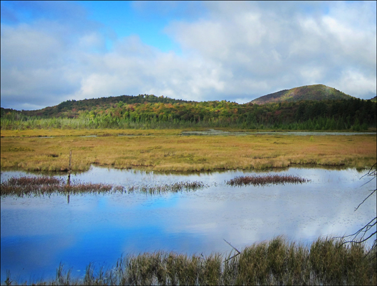 Adirondack Wetlands:  Heron Marsh from Heron Marsh Trail at the Paul Smiths VIC (19 September 2012)