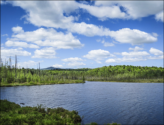 Adirondack Habitats: Barnum Pond from the Boreal Life Trail overlook (31 May 2014)