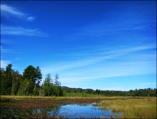Adirondack Wetlands:  Heron Marsh in early autumn at the Paul Smiths VIC (17 September 2011)