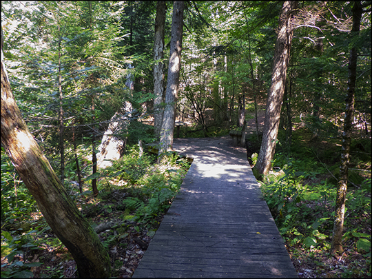 Adirondack Wetlands: Boardwalk over swampland on the east end of the Silvi Trail (19 August 2013)
