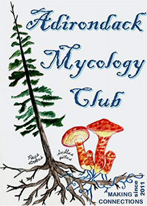 Adirondack Mycology Club