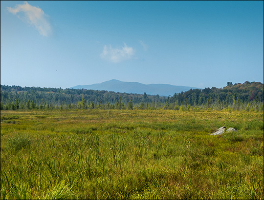 Adirondack Wetlands: Heron Marsh and Saint Regis Mountain (11 September 2013)