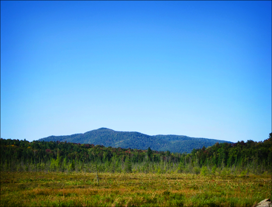 Adirondack Wetlands:  Heron Marsh from the Barnum Brook Trail overlook at the Paul Smiths VIC (12 September 2012)