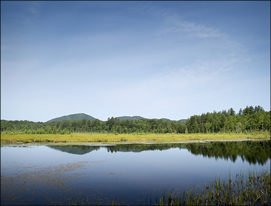 Adirondack Wetlands: Heron Marsh from the Heron Marsh Trail (19 July 2014)