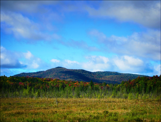 Adirondack Wetlands:  Heron Marsh and Saint Regis Mountain from the Barnum Brook Trail (19 September 2012)