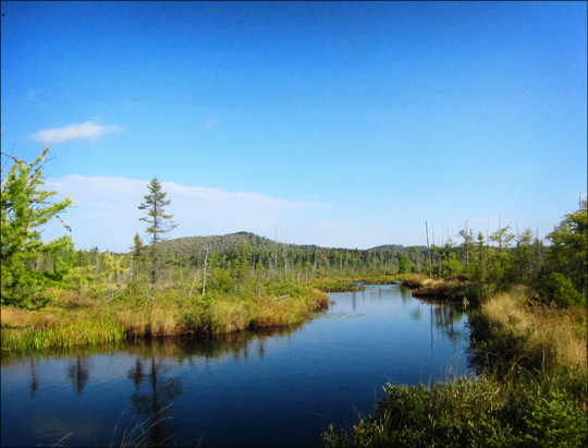 Adirondack Wetlands:  Barnum Bog from the Boreal Life Trail boardwalk at the Paul Smiths VIC (22 September 2012)