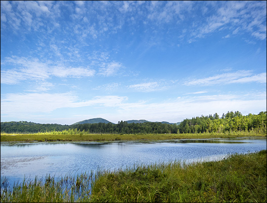 Adirondack Wetlands:  Heron Marsh from the Heron Marsh Trail Overlook (26 July 2014)