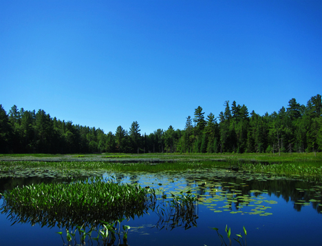 Adirondack Wetlands: Heron Marsh at the Paul Smiths VIC (28 June 2012)