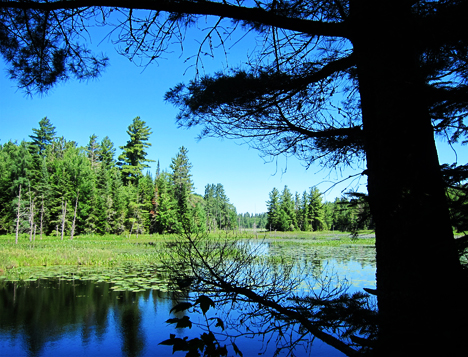 Adirondack Wetlands: Heron Marsh at the Paul Smiths VIC (28  June 2012)