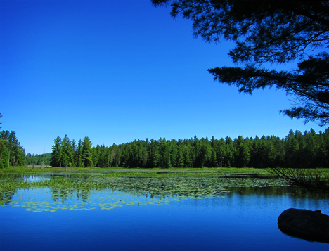 Adirondack Wetlands: Heron Marsh from Shingle Mill Falls at the Paul Smiths VIC