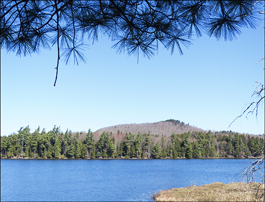 Adirondack Habitats:  Barnum Pond at the Paul Smiths VIC (4 May 2013)