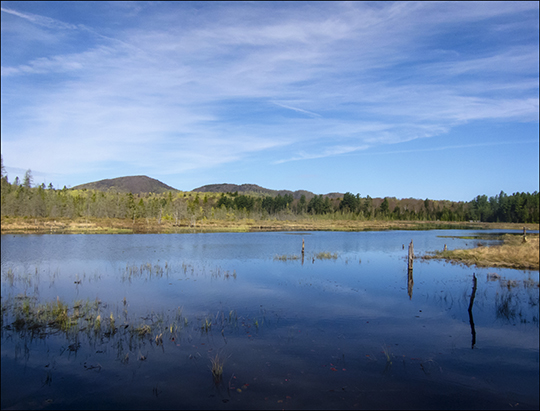 Adirondack Wetlands:  Heron Marsh from the Heron Marsh Trail Overlook at the Paul Smiths VIC (8 May 2013)