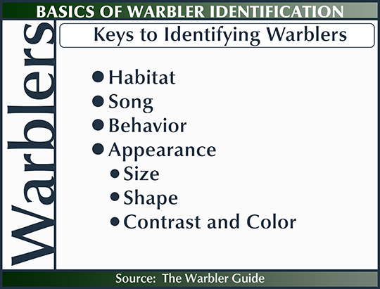 Birds of the Adirondacks:  Keys to Identifying Warblers (20 June 2015)