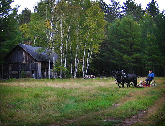 Horses on the Homestead: The Original Tractor (29 September 2012)