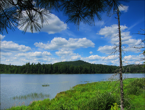 Barnum Pond from the Boreal Life Trail overlook at the Paul Smiths VIC