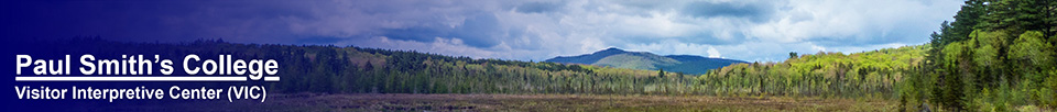 Adirondack Wetlands: Saint Regis Mountain and Heron Marsh (24 May 2014)