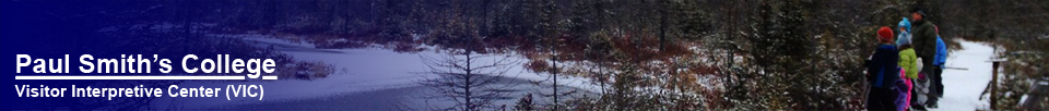 Boreal Life Trail in Winter