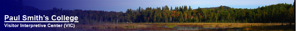 Heron Marsh in Autumn