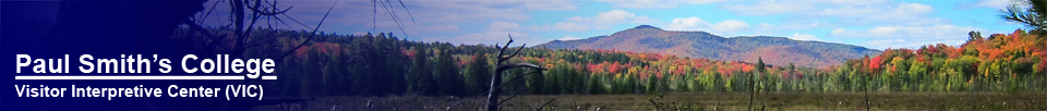 Adirondack Habitats: Saint Regis Mountain and Heron Marsh (27 September 2012)