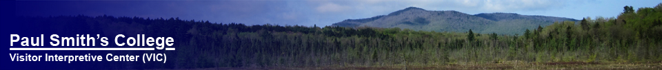 Adirondack Wetlands: Heron Marsh (16 May 2012)