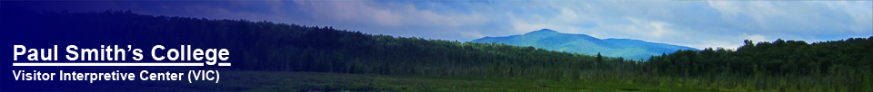 Paul Smith's College Visitor Interpretive Center --  St Regis Mountain from the Heron Marsh Overlook on the Barnum Brook Trail -- 27 July 2011