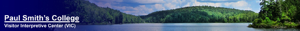Adirondack Habitats: Black Pond from the Black Pond Trail (16 August 2012)