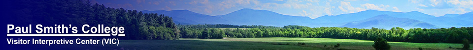 Heaven Hill Farm front pasture. Bear Cub Road., Lake Placid.