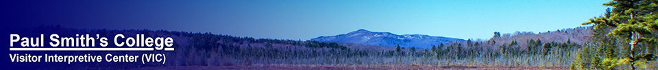 Saint Regis Mountain from the Barnum Brook Trail (23 April 2013)