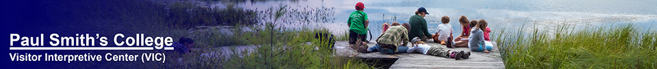 Nature Programs for Children: Exploring Adirondack wetlands at the VIC