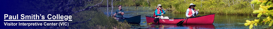 Adirondack Wetlands: Interpretive Canoe Trip on Barnum Brook (5 July 2014)