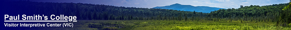 Adirondack Wetlands:  Heron Marsh at the Paul Smiths VIC (29 June 2014)