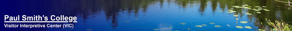 Adirondack Habitats: Simkins Pond at the Paul Smiths VIC (11 July 2015)