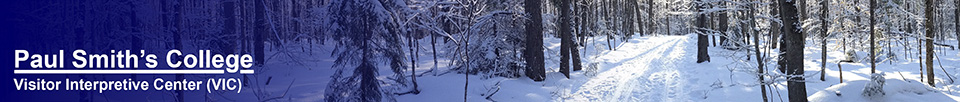 Adirondack Ski Trails: Woods and Waters Trail. Photo by Sandra Hildreth.  Used by permission.