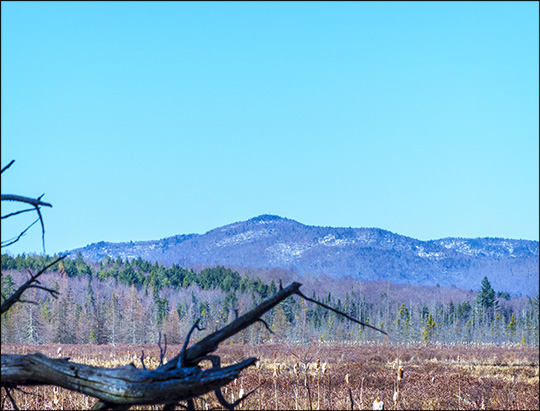 Adirondack Wetlands: Heron Marsh and Saint Regis Mountain (23 April 2013)