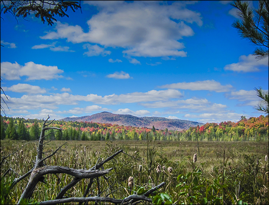 Adirondack Wetlands: Heron Marsh and Saint Regis Mountain (27 September 2012)