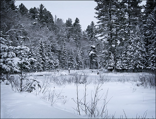 Black Pond trailhead.  Photo courtesy of B. Black Pond trailhead.  Used by permission.