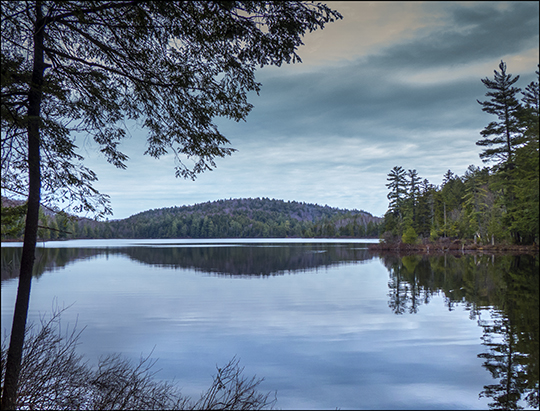 Adirondack Habitats:  Black Pond from the Black Pond Trail (27 April 2013)