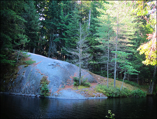 Black Pond