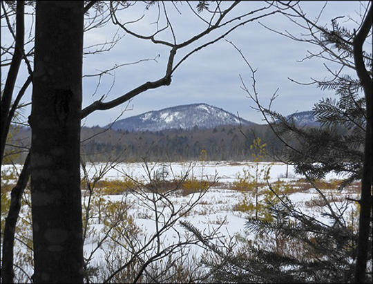 Adirondack Wetlands:  Heron Marsh in winter.  Photo courtesy of Father Joe.  Used by permission.