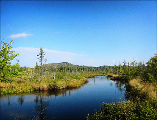 Adirondack Wetlands: Barnum Brook and Barnum Bog (22 September 2012)