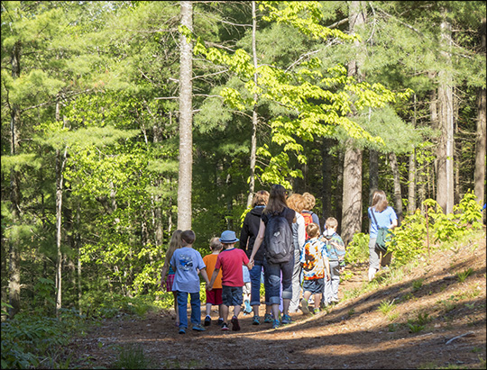 Children's Nature Programs:  Five Senses Walk