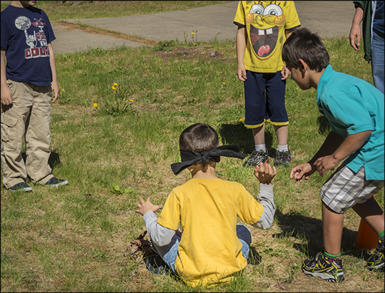 Children's Nature Programs: Playing the 'Greedy Squirrels' Game