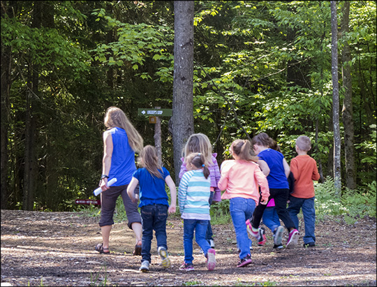 Children's Nature Programs: Off to explore the Mole Touch Box