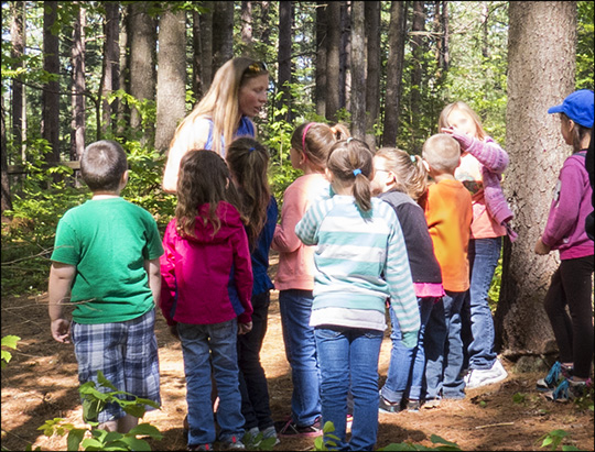 Children's Nature Programs:  Learning about animal senses