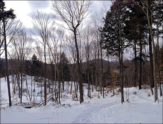 Esker Trail in winter.  Photo by Sandra Hildreth.  Used by permission.