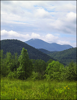 Back pasture. Heaven Hill Farm.  Bear Cub Road, Lake Placid, New York