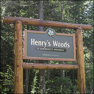 Henry's Woods Trail Sign.  Bear Cub Road. Lake Placid, New York