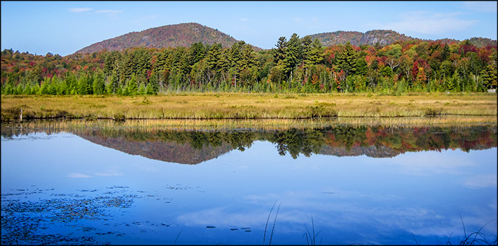 Adirondack Wetlands:  Seasonal Changes in the Adirondacks.  Heron Marsh (26 September 2011)