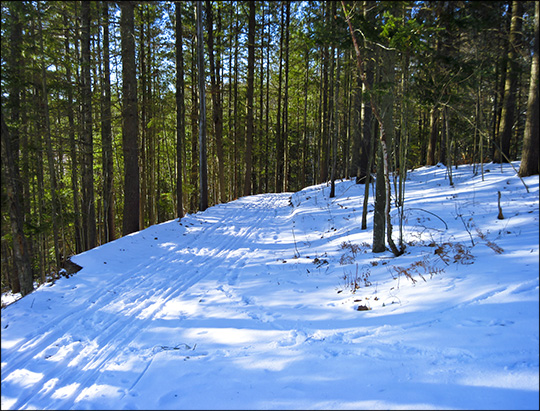 Logger's Loop Trail in front of the VIC building (26 November 2012).  Photo courtesy of D. Kirche.  Used by permission.